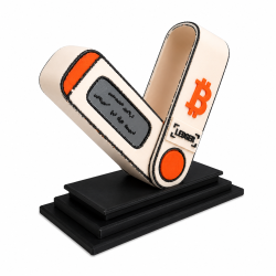 Statuette The wallet cold de trois quarts, écran du cold wallet visible