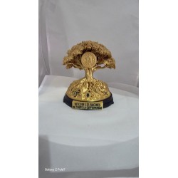 Statuette racines de la crypto de face, tronc ouvragé et plaque gravée